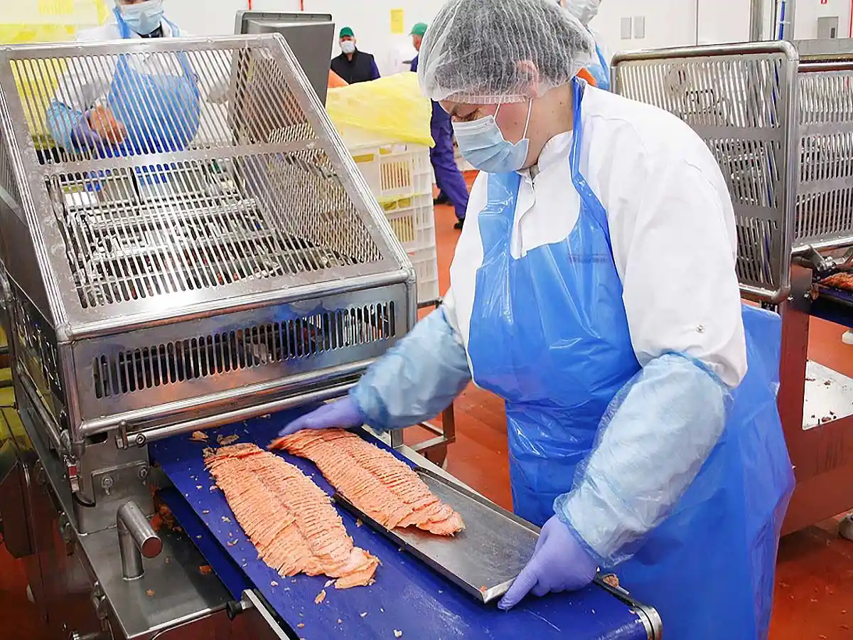 Fish Processing and Seafood Products