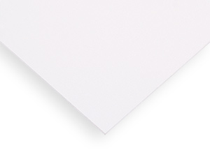 Palclad Pro HYG PVC Wall Panel - White
